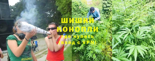 PSILOCYBIN Абдулино