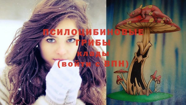 дживик Абаза