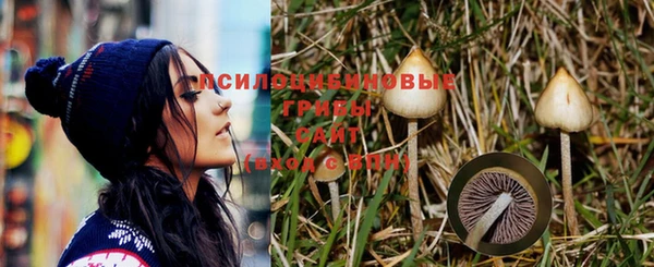 синтетический гашиш Переславль-Залесский