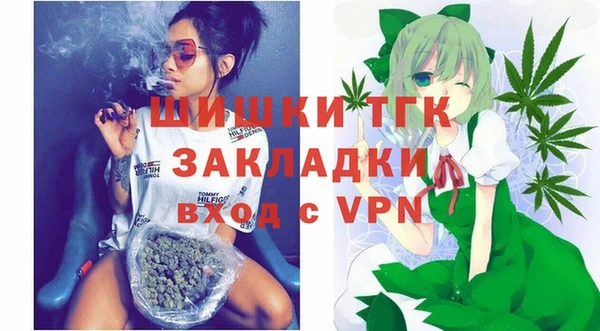 дживик Абаза