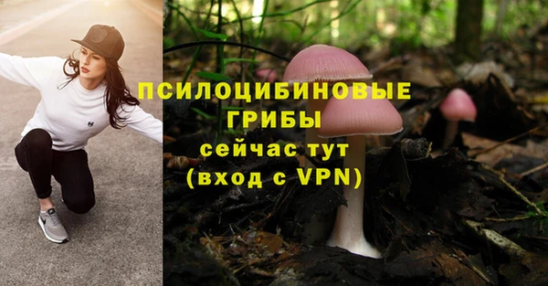 PSILOCYBIN Абдулино
