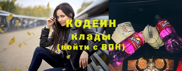 герыч Пересвет