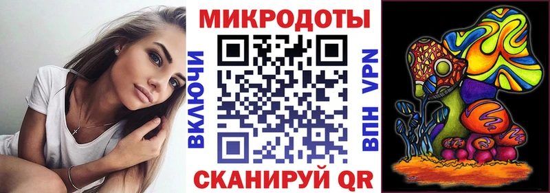 Псилоцибиновые грибы Psilocybe  Сертолово 
