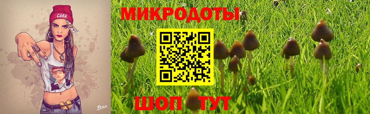 Сертолово  Псилоцибиновые грибы Magic Shrooms  Вход с VPN 